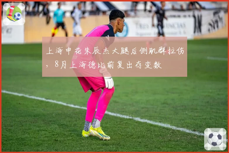 上海申花朱辰杰大腿后侧肌群拉伤,8月上海德比前复出存变数