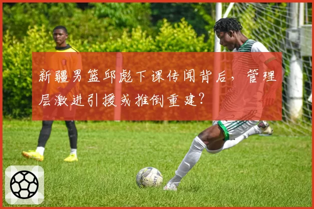 新疆男篮邱彪下课传闻背后,管理层激进引援或推倒重建?